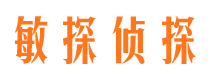 嘉黎市调查取证